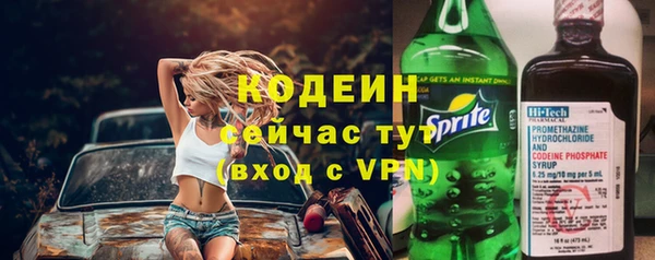 не бодяженный Вяземский
